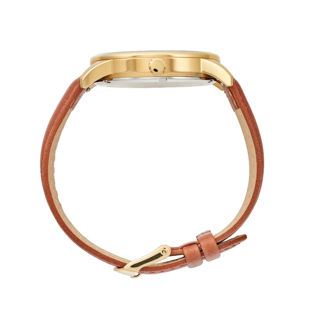 Maxum x Taylor Steele – Green Dial, Gold Tone Case & Brown Leather Band Watch