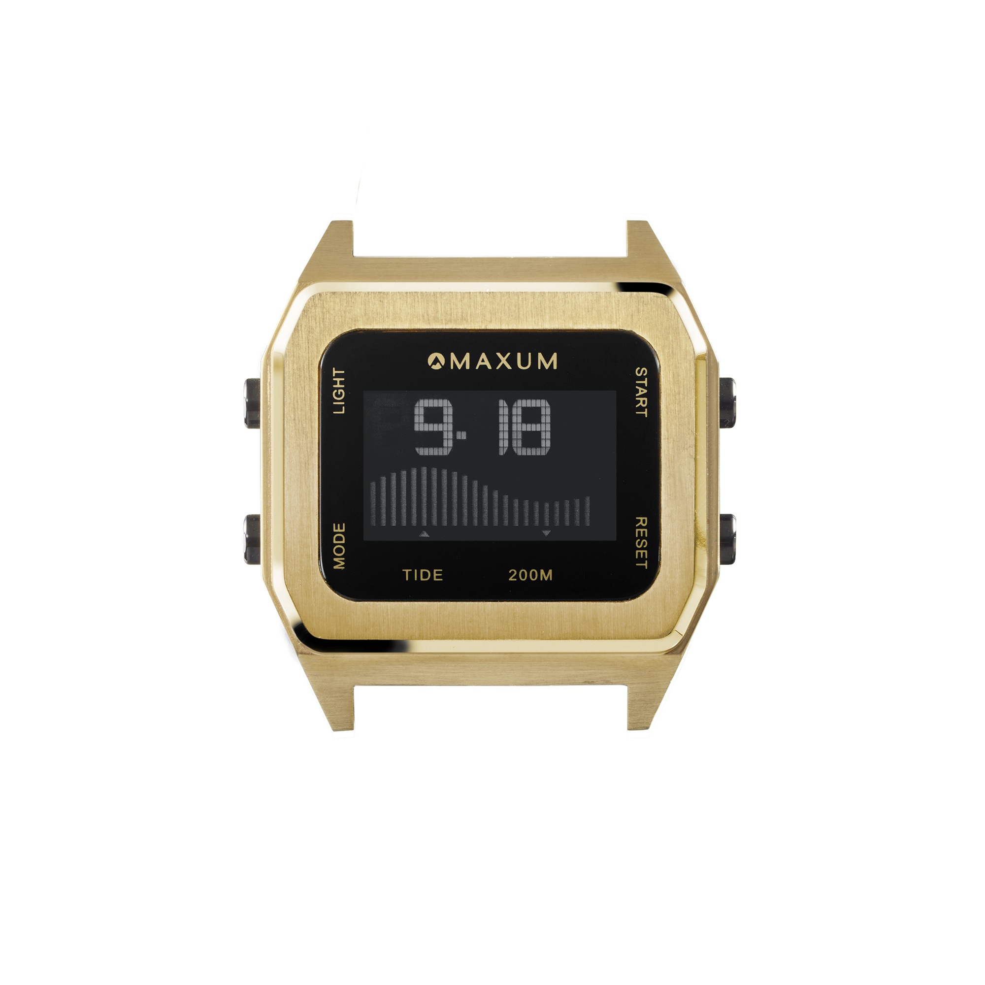 Raglan Gold Case plus 4 straps