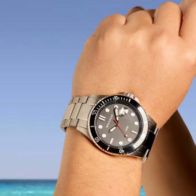 Prince Analogue Date Watch – Black Dial, Silver-Tone Case & Bracelet